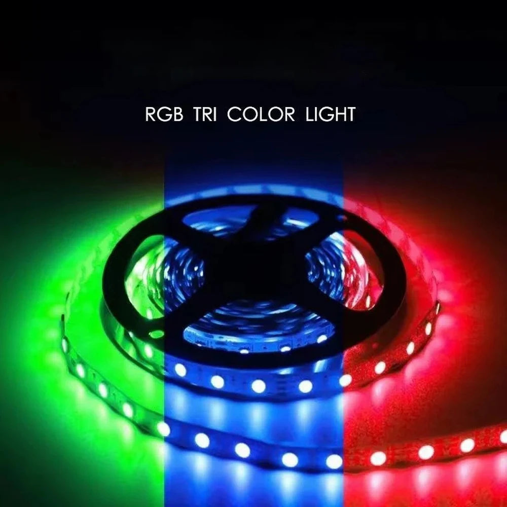 10/15/20M 2835 LED Strip Light RGB Remote Control Lights USB Flexible Lamp Tape Ribbon for TV Desktop Back Light Diode Tape